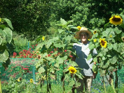 Sally with sunflowers