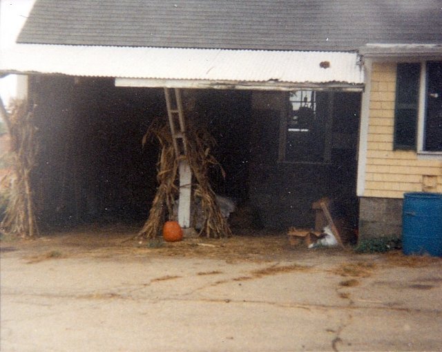 carport.jpg